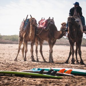 Surf Lessons Essaouira Morocco Lovingsurf