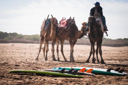 Surf Lessons Essaouira Morocco Lovingsurf