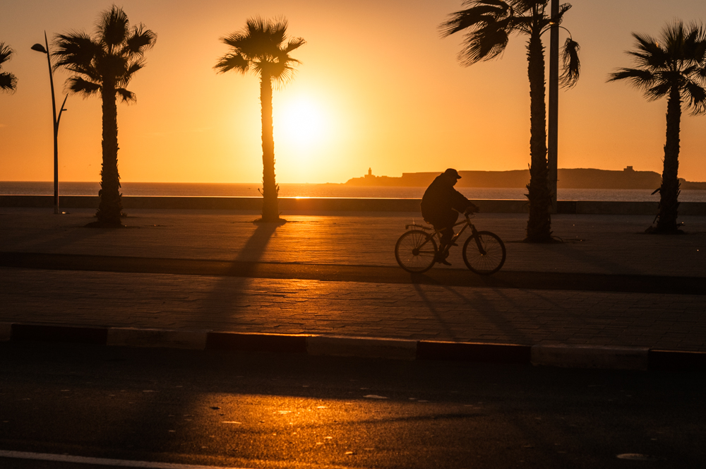 Learn to Surf in Essaouira