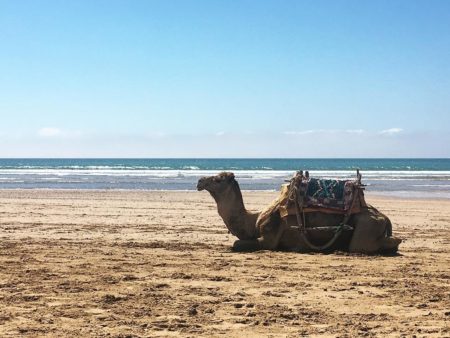 Explore Essaouira Lovingsurf kite surf Morocco
