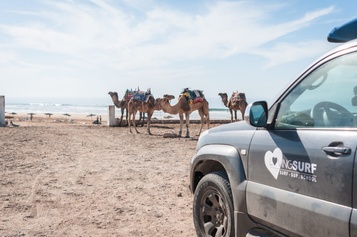 Surf guiding essaouira morocco lovingsurf camp