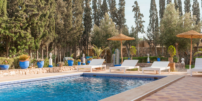 Loving Surf House Pool and garden Essaouira